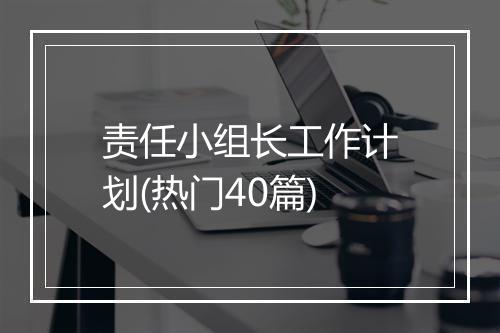 责任小组长工作计划(热门40篇)