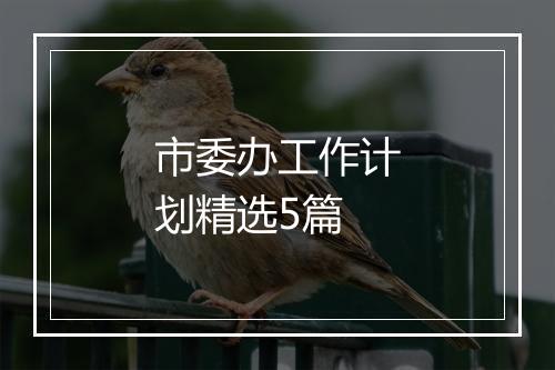 市委办工作计划精选5篇