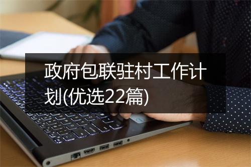 政府包联驻村工作计划(优选22篇)