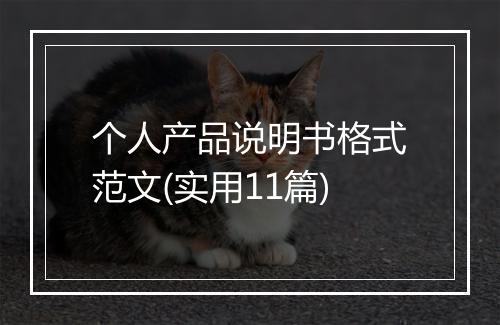 个人产品说明书格式范文(实用11篇)