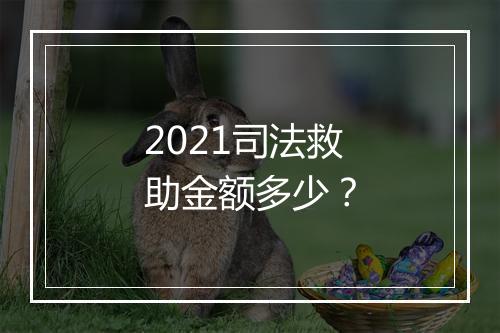 2021司法救助金额多少?