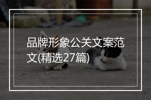 品牌形象公关文案范文(精选27篇)