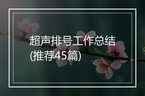 超声排号工作总结(推荐45篇)