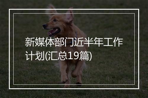 新媒体部门近半年工作计划(汇总19篇)