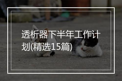 透析器下半年工作计划(精选15篇)