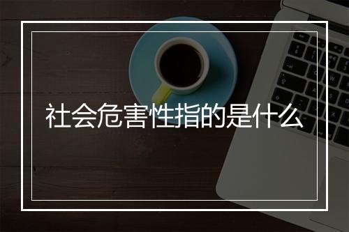 社会危害性指的是什么