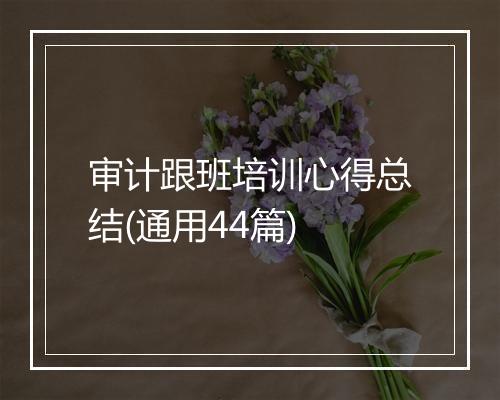 审计跟班培训心得总结(通用44篇)