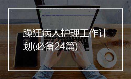 躁狂病人护理工作计划(必备24篇)
