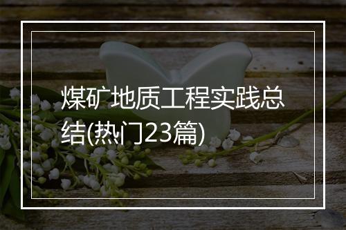 煤矿地质工程实践总结(热门23篇)