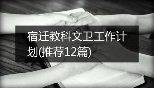 宿迁教科文卫工作计划(推荐12篇)