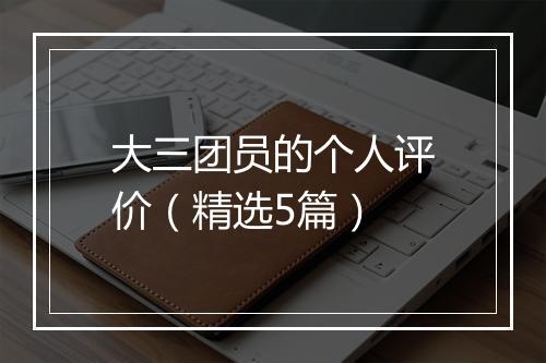 大三团员的个人评价(精选5篇)