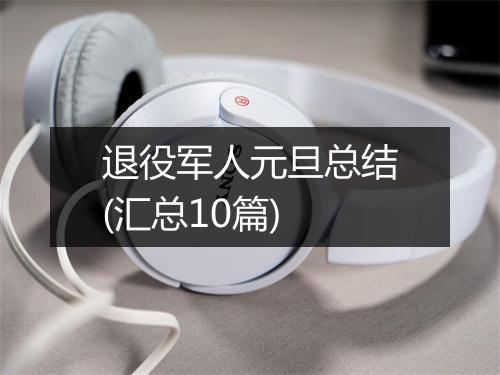 退役军人元旦总结(汇总10篇)