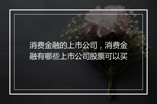 消费金融的上市公司,消费金融有哪些上市公司股票可以买