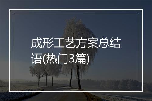 成形工艺方案总结语(热门3篇)
