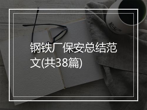 钢铁厂保安总结范文(共38篇)