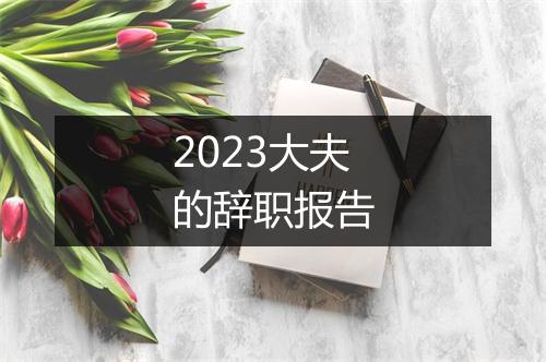 2023大夫的辞职报告