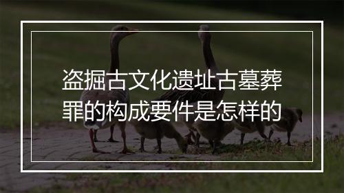 盗掘古文化遗址古墓葬罪的构成要件是怎样的