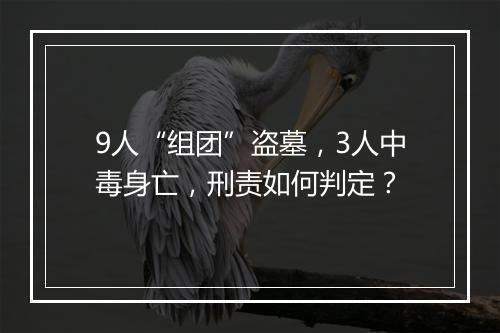 9人“组团”盗墓,3人中毒身亡,刑责如何判定?
