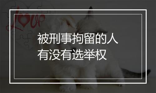被刑事拘留的人有没有选举权