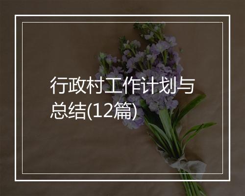 行政村工作计划与总结(12篇)