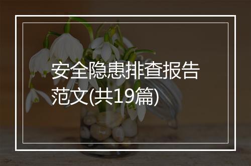 安全隐患排查报告范文(共19篇)
