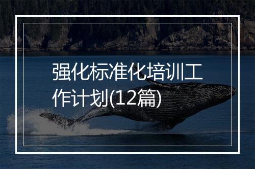 强化标准化培训工作计划(12篇)
