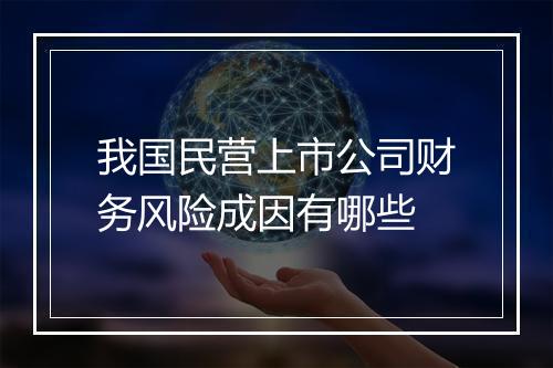 我国民营上市公司财务风险成因有哪些
