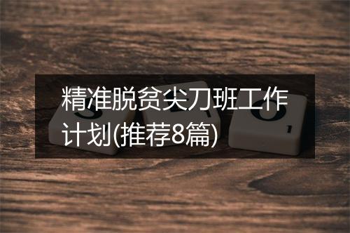 精准脱贫尖刀班工作计划(推荐8篇)