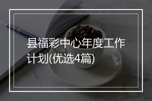 县福彩中心年度工作计划(优选4篇)