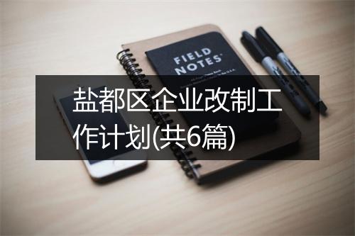 盐都区企业改制工作计划(共6篇)