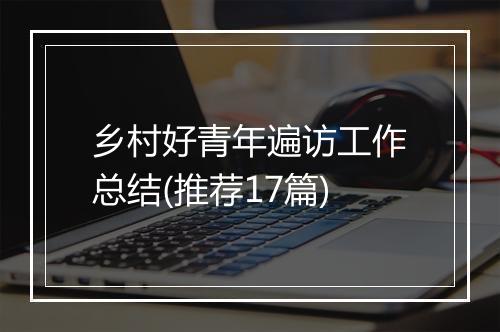 乡村好青年遍访工作总结(推荐17篇)