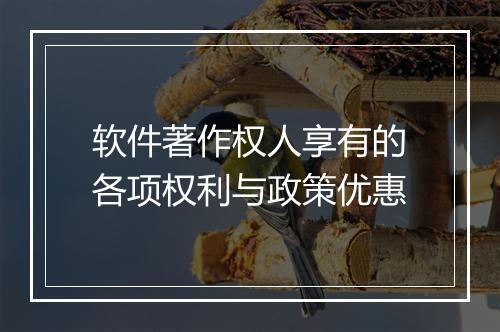 软件著作权人享有的各项权利与政策优惠