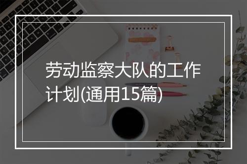 劳动监察大队的工作计划(通用15篇)
