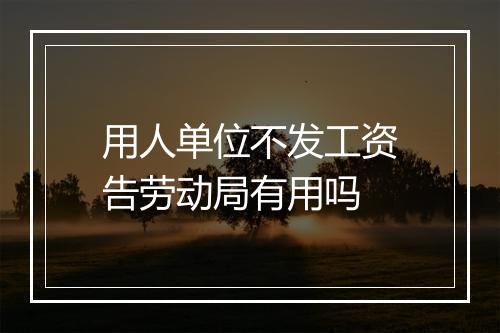 用人单位不发工资告劳动局有用吗
