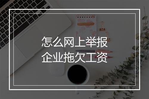 怎么网上举报企业拖欠工资