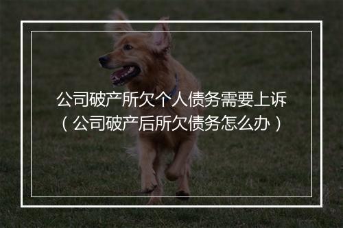 公司破产所欠个人债务需要上诉(公司破产后所欠债务怎么办)