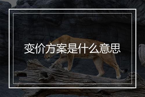 变价方案是什么意思