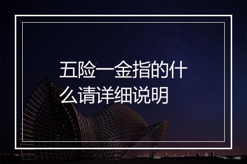 五险一金指的什么请详细说明