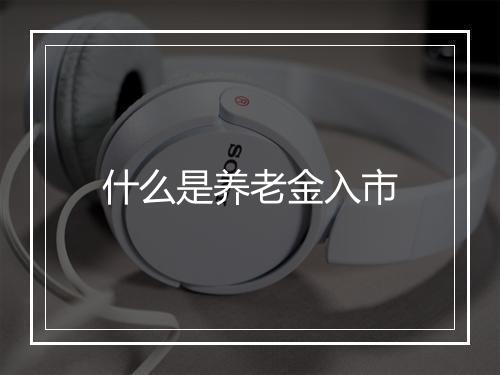 什么是养老金入市