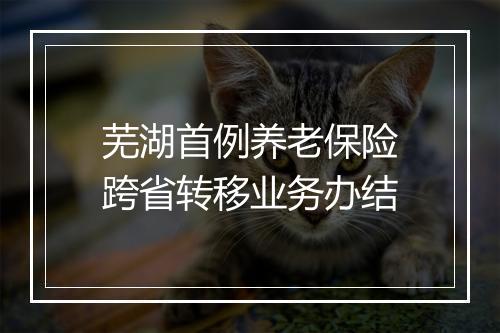 芜湖首例养老保险跨省转移业务办结