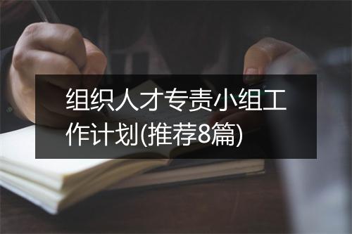 组织人才专责小组工作计划(推荐8篇)