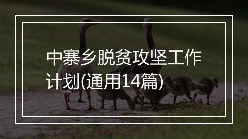 中寨乡脱贫攻坚工作计划(通用14篇)