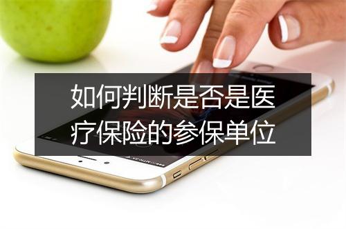 如何判断是否是医疗保险的参保单位