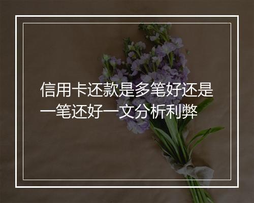 信用卡还款是多笔好还是一笔还好一文分析利弊