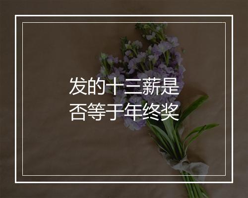 发的十三薪是否等于年终奖
