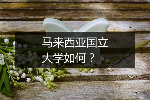 马来西亚国立大学如何?