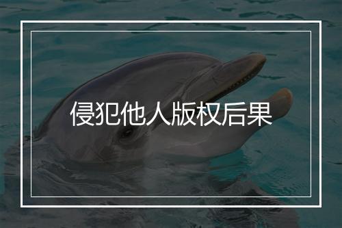 侵犯他人版权后果