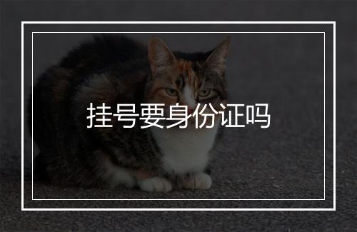 挂号要身份证吗
