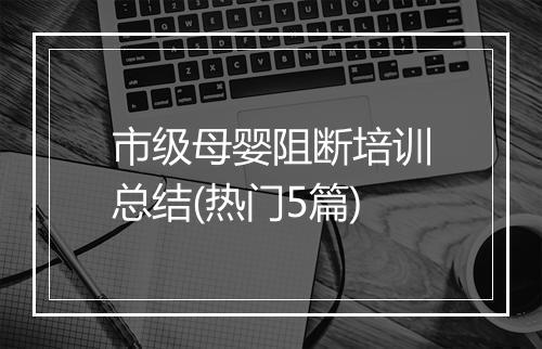 市级母婴阻断培训总结(热门5篇)