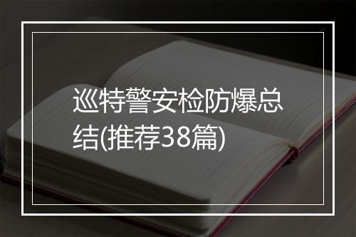 巡特警安检防爆总结(推荐38篇)